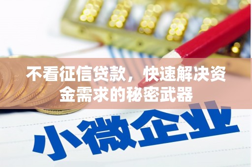 曹妃甸不看征信贷款，快速解决资金需求的秘密武器