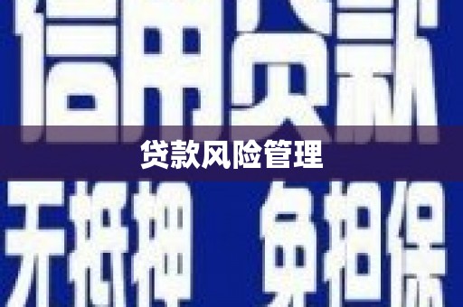 曹妃甸贷款风险管理