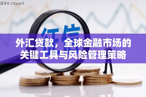 曹妃甸外汇贷款，全球金融市场的关键工具与风险管理策略