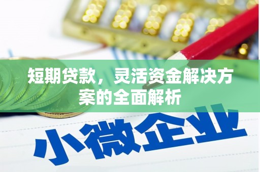 曹妃甸短期贷款，灵活资金解决方案的全面解析