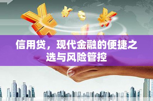 曹妃甸信用贷，现代金融的便捷之选与风险管控