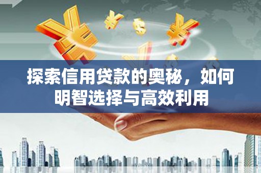 曹妃甸探索信用贷款的奥秘，如何明智选择与高效利用