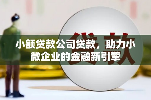 曹妃甸小额贷款公司贷款，助力小微企业的金融新引擎