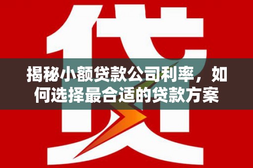 曹妃甸揭秘小额贷款公司利率，如何选择最合适的贷款方案