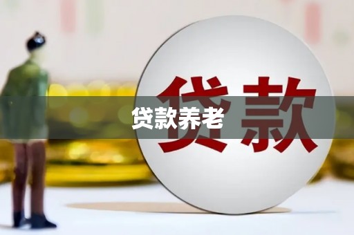 曹妃甸贷款养老