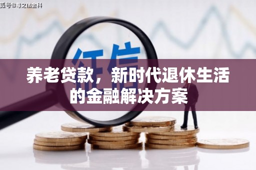 曹妃甸养老贷款，新时代退休生活的金融解决方案