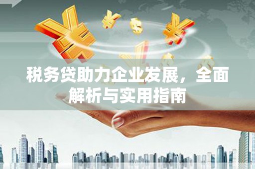 曹妃甸税务贷助力企业发展，全面解析与实用指南