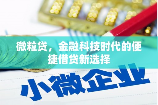 曹妃甸微粒贷，金融科技时代的便捷借贷新选择