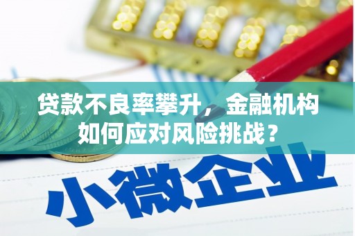 曹妃甸贷款不良率攀升，金融机构如何应对风险挑战？
