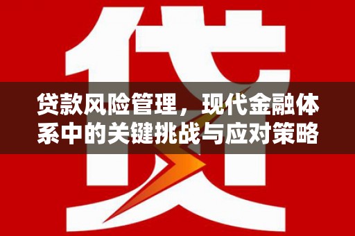 曹妃甸贷款风险管理，现代金融体系中的关键挑战与应对策略