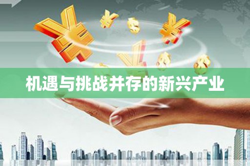 曹妃甸机遇与挑战并存的新兴产业