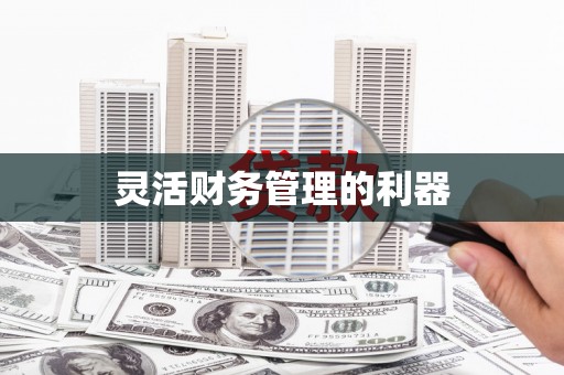 曹妃甸灵活财务管理的利器