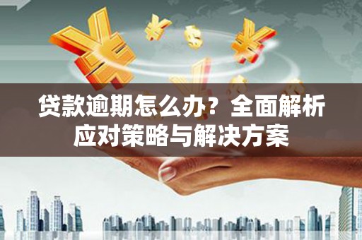 曹妃甸贷款逾期怎么办？全面解析应对策略与解决方案