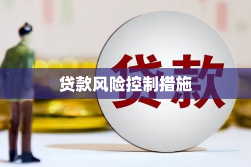 曹妃甸贷款风险控制措施