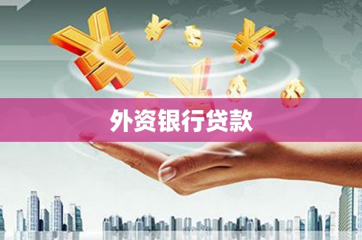 曹妃甸外资银行贷款