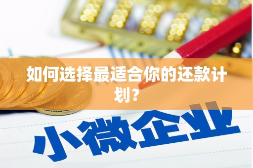 曹妃甸如何选择最适合你的还款计划？