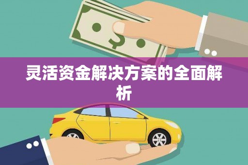 曹妃甸灵活资金解决方案的全面解析